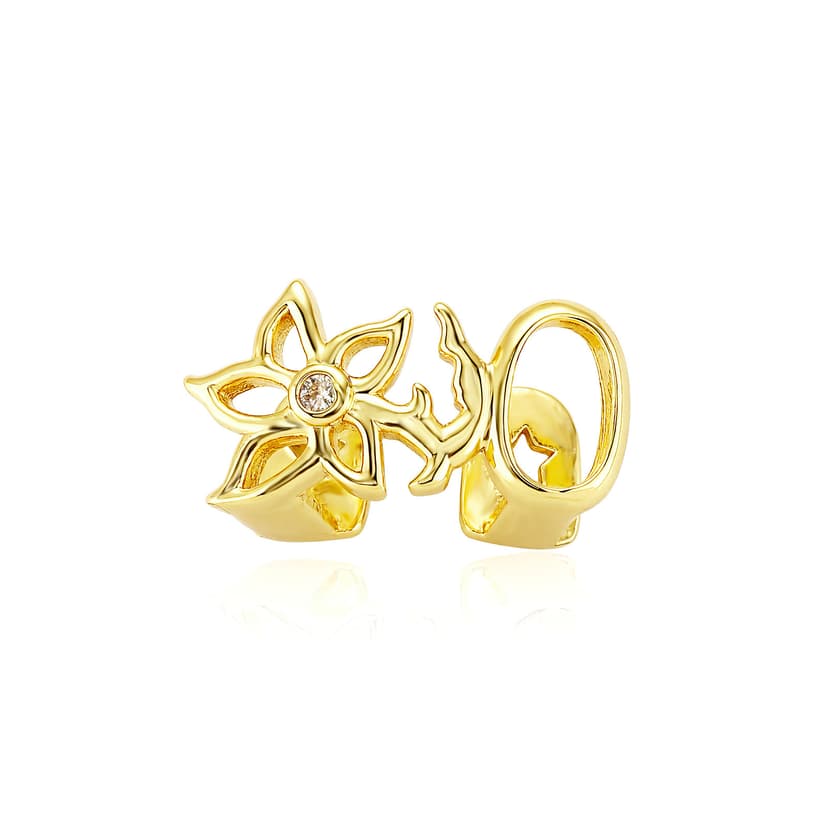 ReignSword Gold Teeth Grillz, Flower Star Design Hollow CZ Grill Caps, Adjustable Custom Fit with Molding Bars, Hip Hop Fashion Jewelry for Men Women