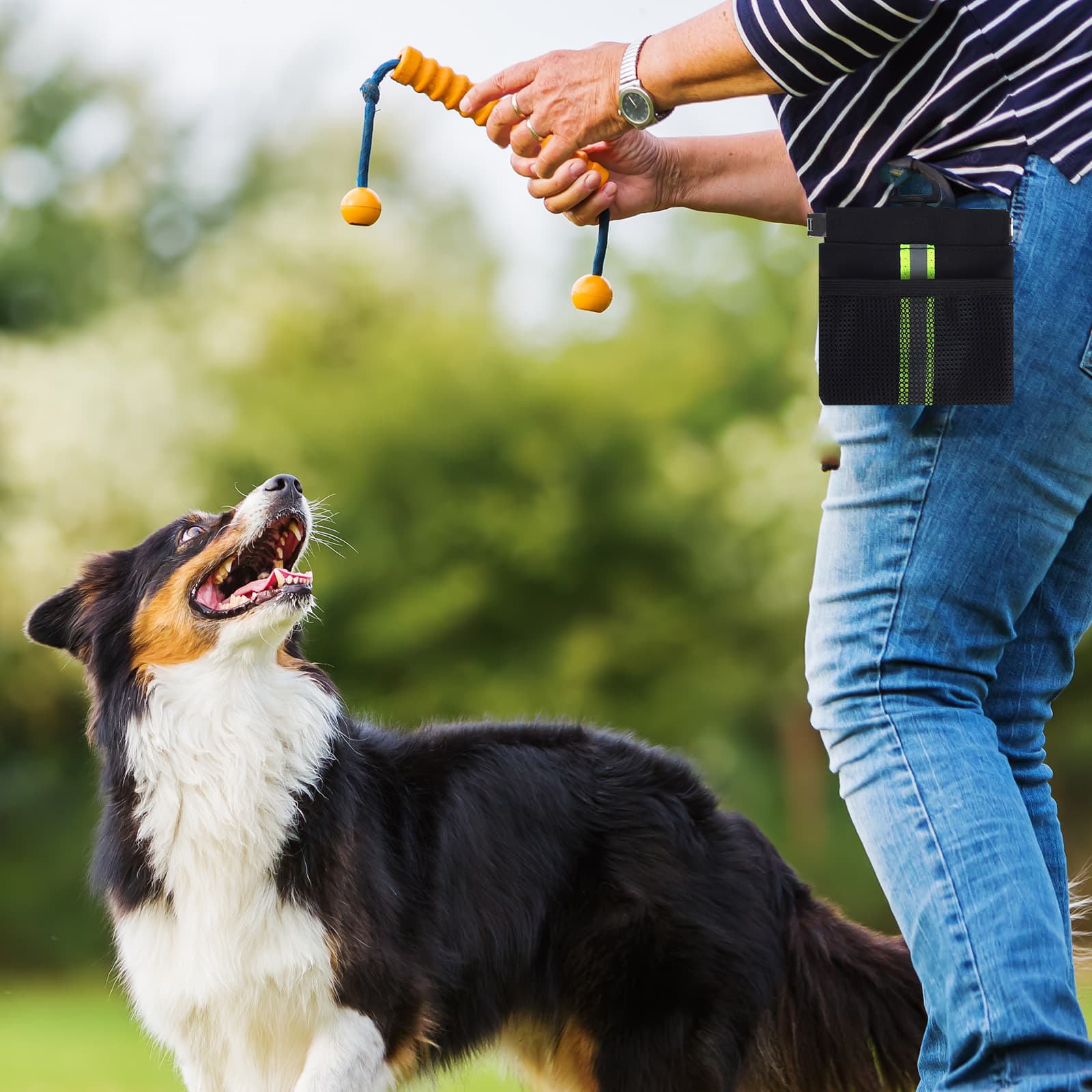 ReignSword Dog Treat Pouch, Self-Closing Pet Training Pouch with Carabiner, Hand Free Pet Feed Snack Reward for Pet Walking - 5